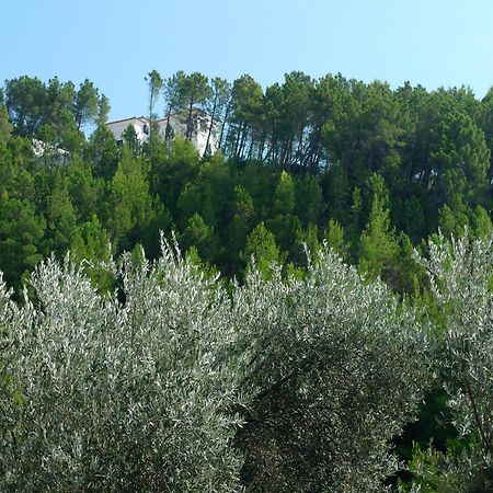 Apartments Maslina Sveti Stefan Esterno foto